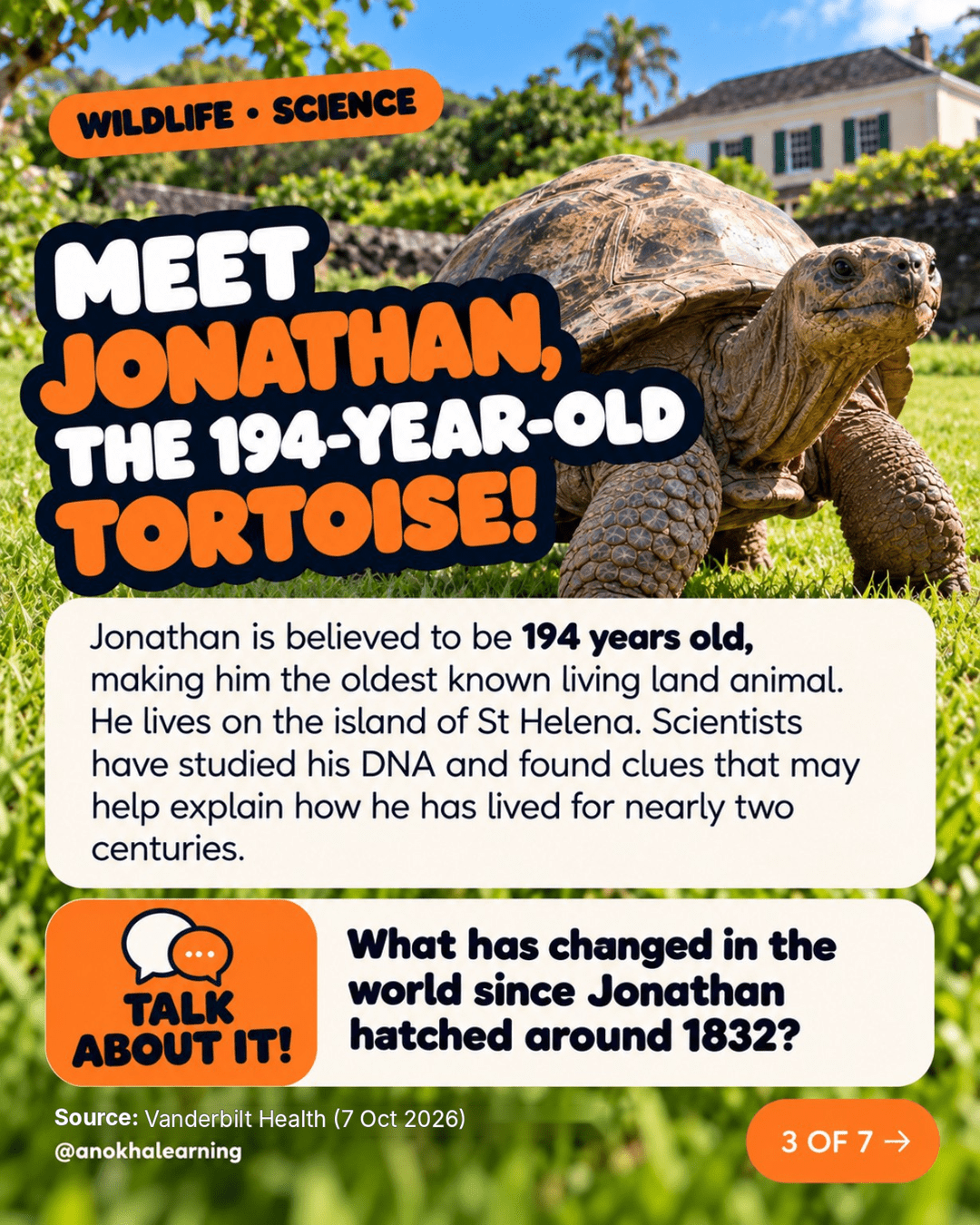 Slide 3 of 7: Meet Jonathan, the 194-year-old tortoise. A giant tortoise on the lawn on St Helena, with a Talk About It question about what has changed since 1832