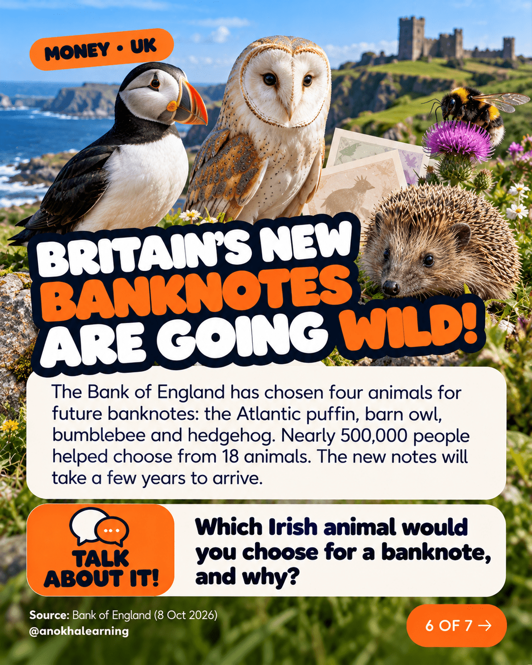 Slide 6 of 7: Britain’s new banknotes are going wild. A puffin, barn owl, bumblebee and hedgehog, the four animals chosen for future Bank of England banknotes