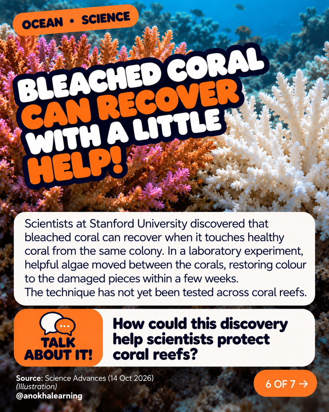 Story image: Bleached coral can recover with a little help. Colourful coral beside white bleached coral, with a Talk About It question about protecting coral reefs