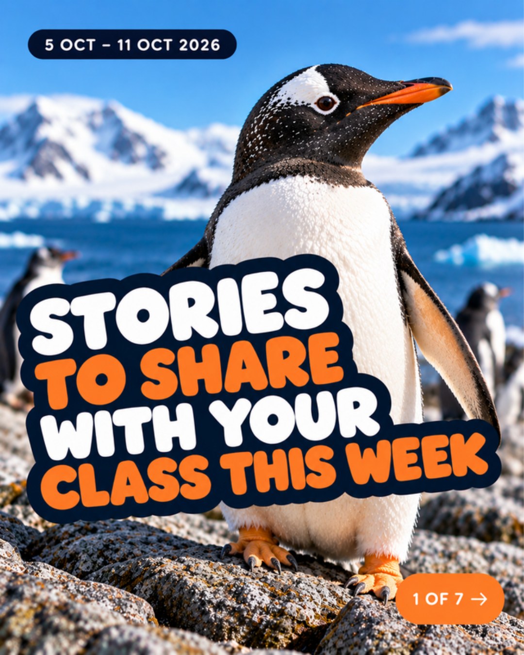 Gentoo penguin on rocks with the title Stories to Share With Your Class This Week, 5 to 11 October 2026